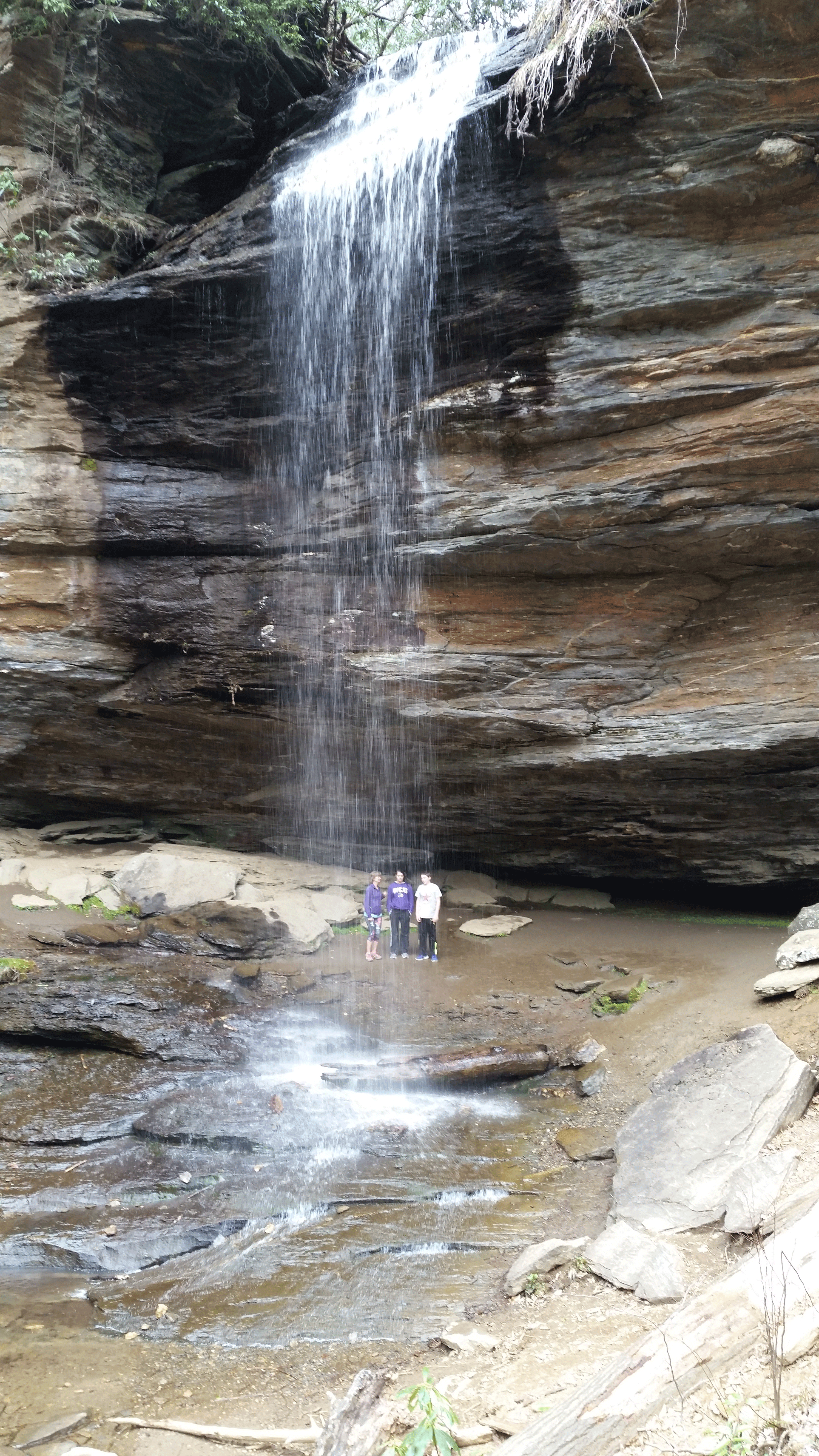 Moore Cove Falls, Pisgah National Forest