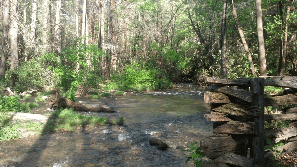 along cat gap trail