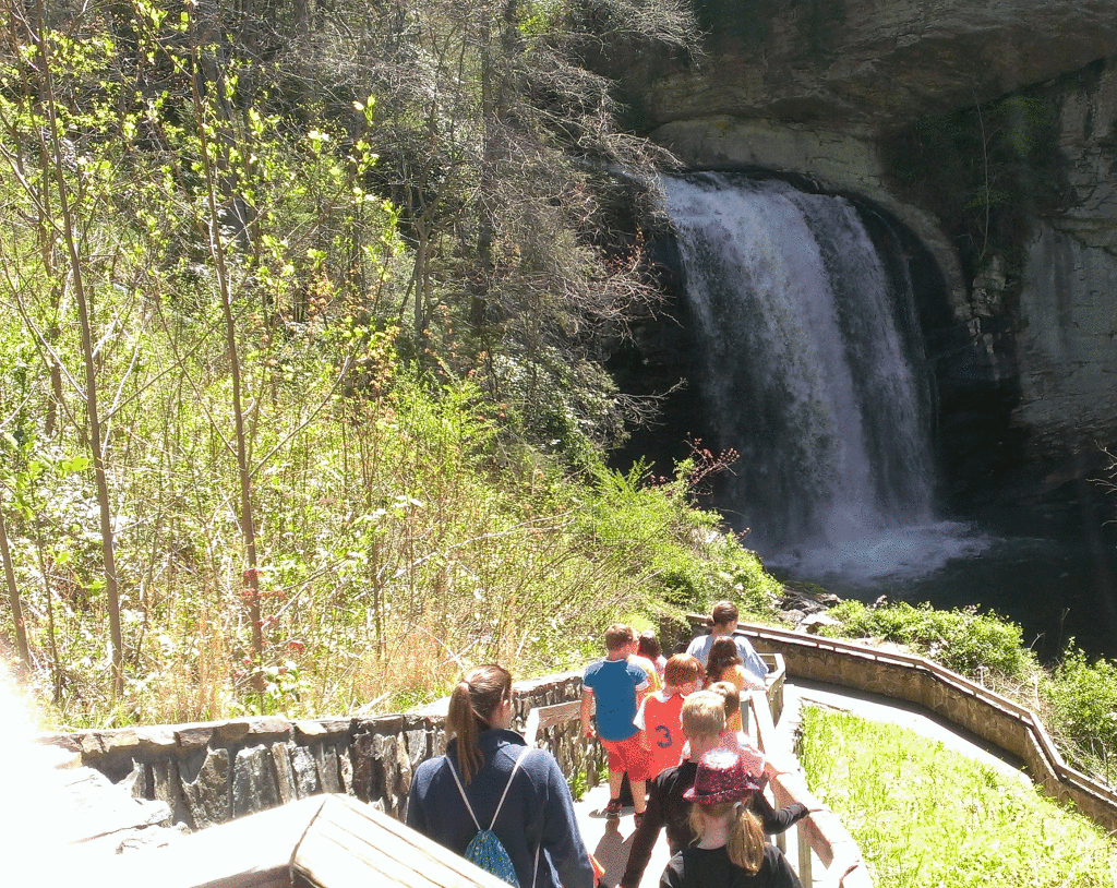 Looking Glass Falls