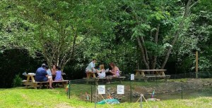 Picnic by the River