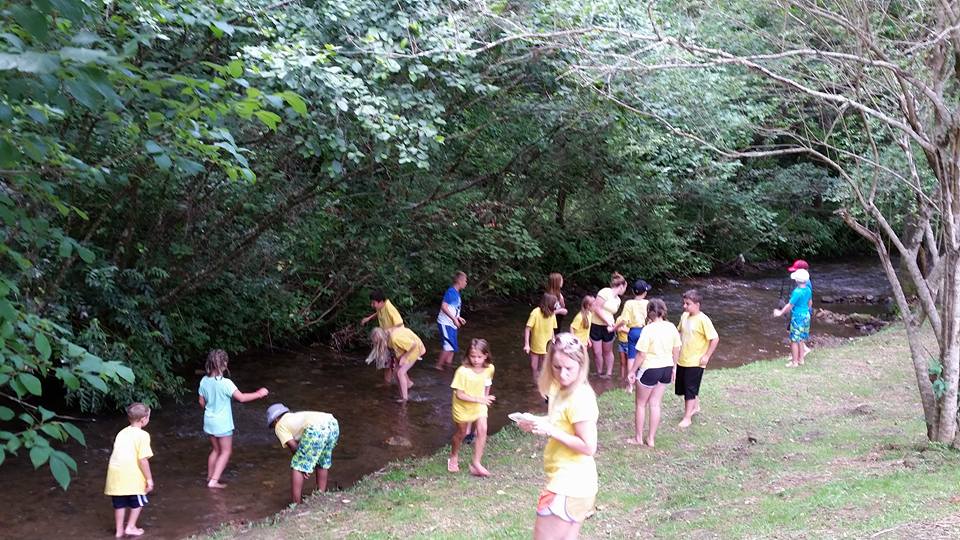 Fun in the River