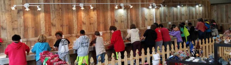 Pisgah Forest Gem Mine & Gifts mining